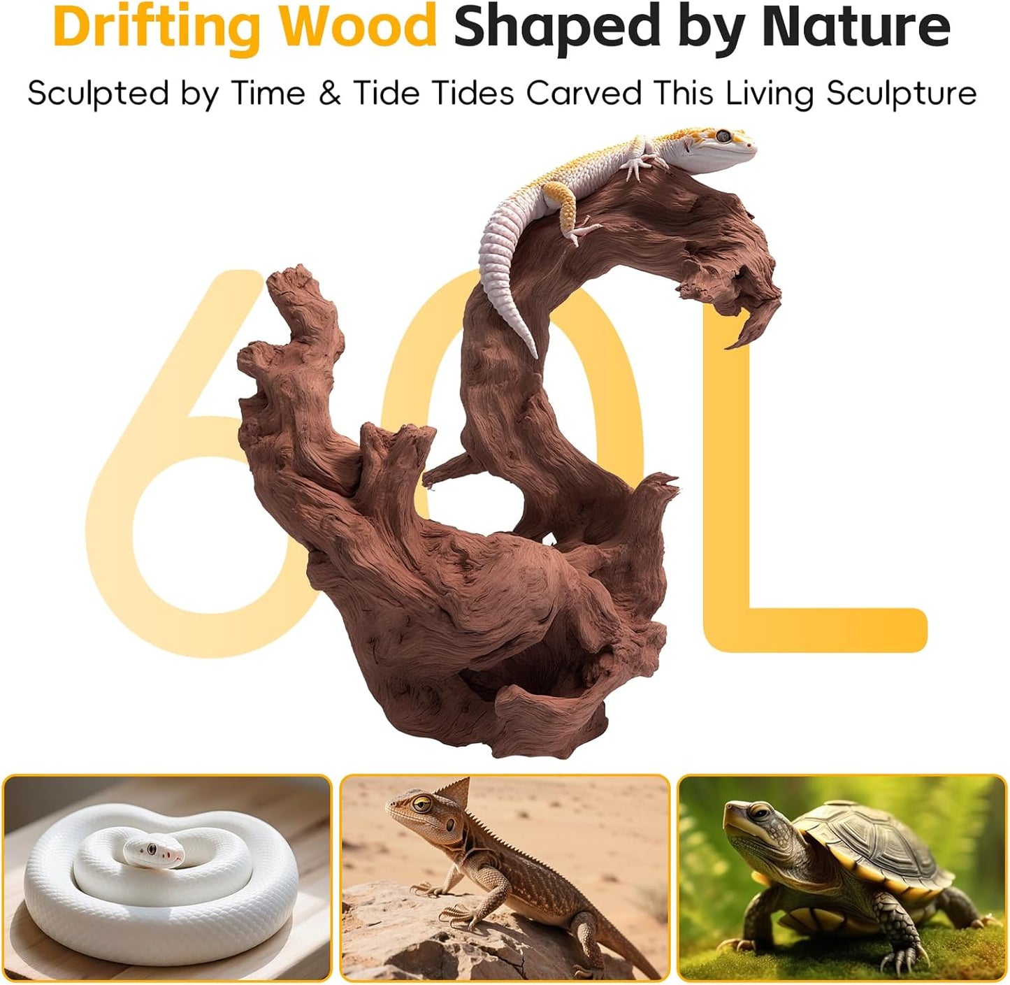 EFFIELER Natural Driftwood for Aquarium Decor – Real Wood Branches for Fish Tank, Reptile Habitat, Terrarium, Hermit Crab, Shrimp Tank,Safe for Aquatic Pets – Unique Size (7-11Inch, 3-Pack)