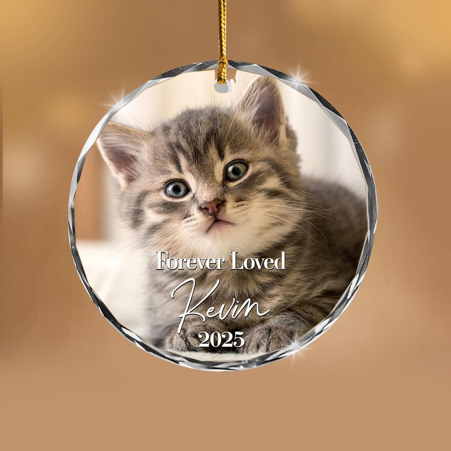 Personalized Cat Memorial Ornament - Custom Photo Keepsake for Christmas, Loss of Pet Gift from Family - Honor Forever Loved Furry Friend - Crystal Glass Ornament 2025