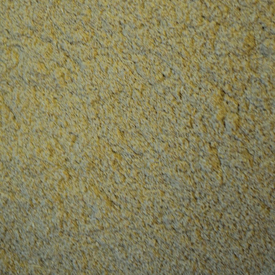 Oxbow Critical Care Herbivore, Fine Grind, Emergency Rabbit & Guinea Pig Food, Natural Papaya Flavor, Veterinary Formula, Critical Care Herbivore, Assist Feeding Formula for Pets, 100 gram bag