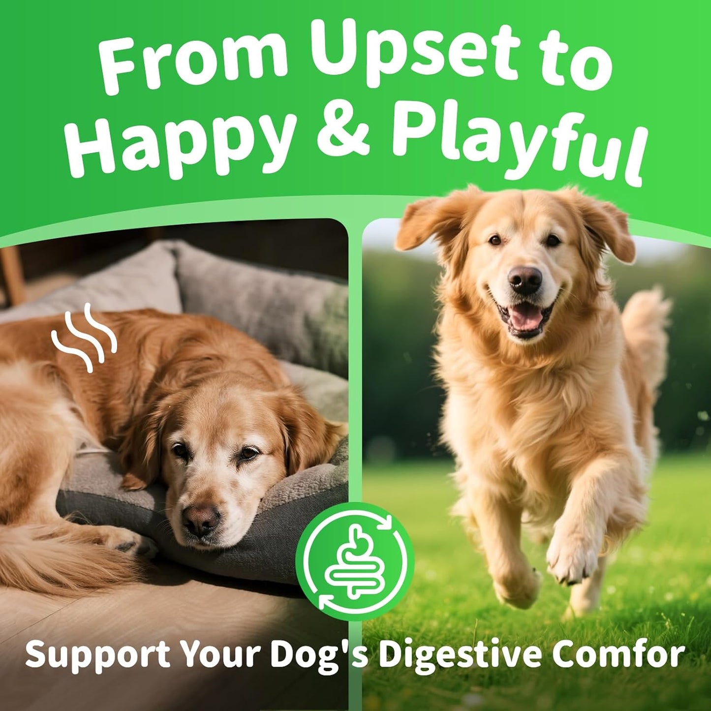 Dog Probiotics & Digestive Enzymes – Pumpkin Fiber Chews for Gut Health, Diarrhea & Upset Stomach Relief, Gas & Stool Support, Chicken Flavor Soft Chews – 90 Count