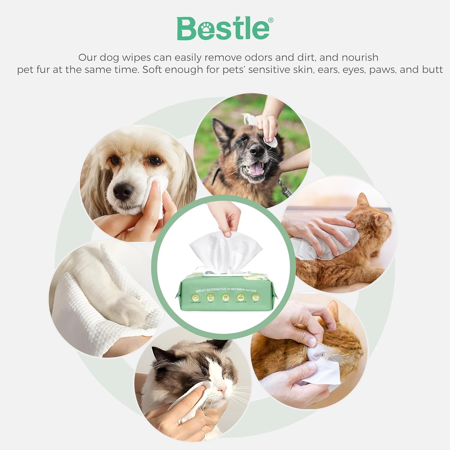 Dog Wipes, 100 Count Pet Grooming Wipes, Conditioning Shine Coat, Cleaning and Deodorizing, Pet Wipes for Dogs & Cats, for Sensitive Skin (Jasmine)