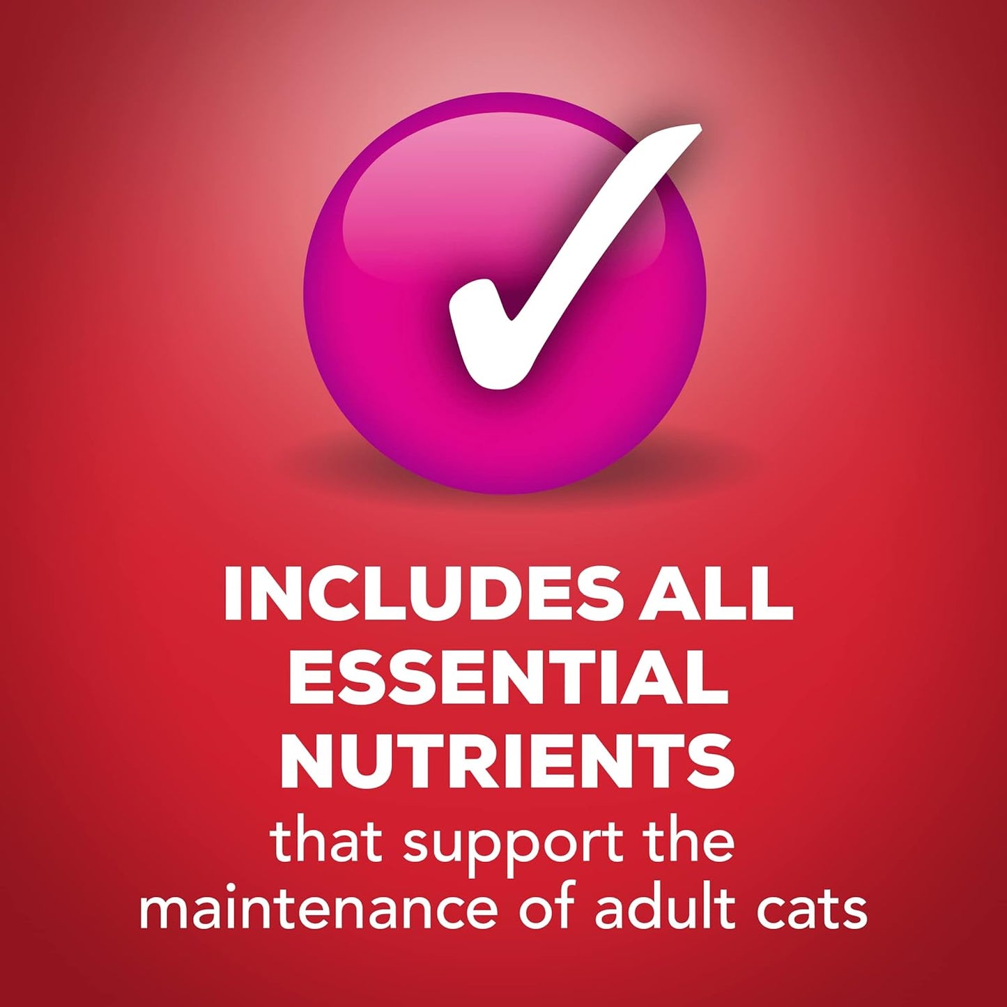 Purina Friskies Meaty Bits Wet Cat Food, with Beef in Gravy, Made with Real Beef, Canned Wet Cat Food for Adult Cats, 5.5-Ounce Recyclable Can (Pack of 12)