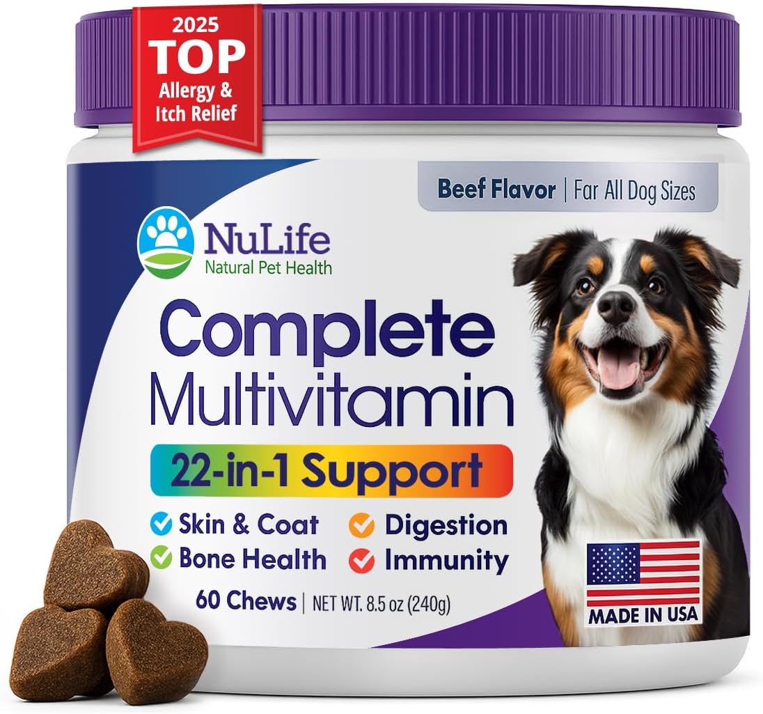 Dog Multivitamins Chewable Supplement - 22 in 1 Dog Vitamins for Itchy Skin & Coat, Immune System, Joints & Overall Health - Vitamins A, B, C, D, E, K & Antioxidants - 60 Chews - Beef Flavor