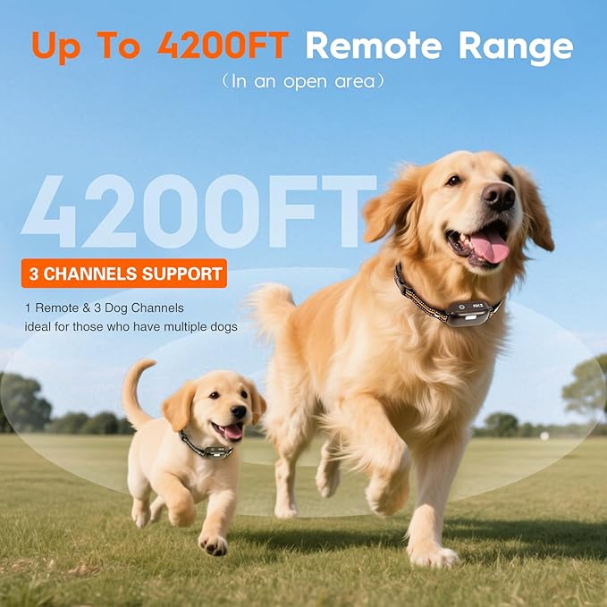 3 Dog Shock Collar with Remote,4200FT Dog Training Collar with Battery Display, 4 Trainning Modes,Rechargeable Electric Dog Collar for Small Medium Large Dogs (15-120Lbs) with Flash Light