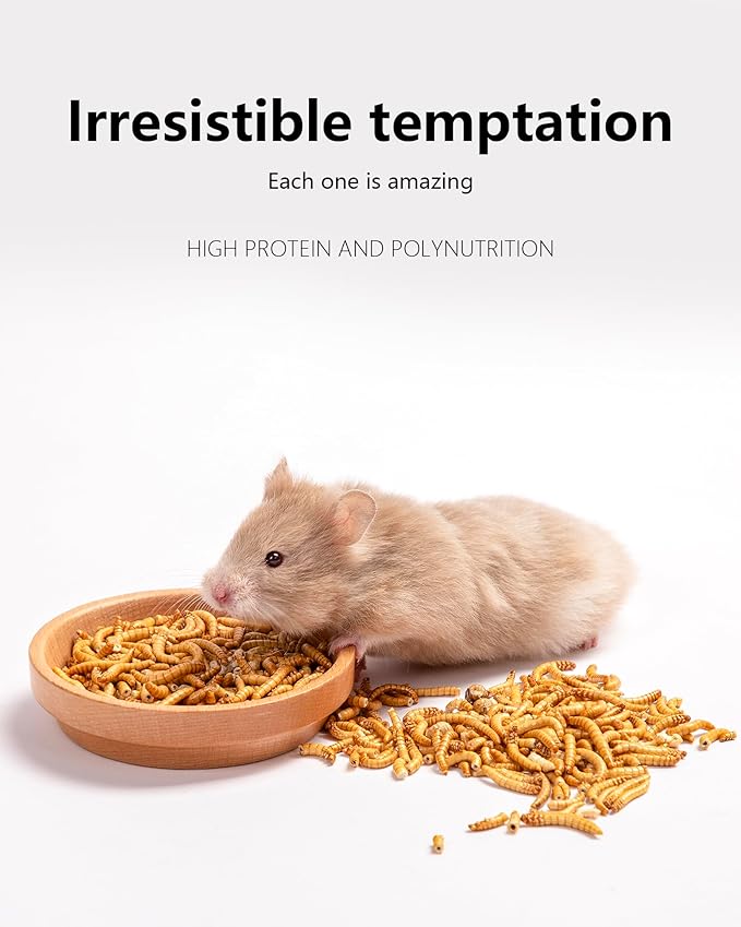 Niteangel Small Animal Snack & Treats Toy - Small Critter Natural Treat for Dwarf Syrian Robo Hamsters Gerbils Mice Lemmings Sugar Glider Hedgehogs Chickens Birds or Other Small-Sized Pets