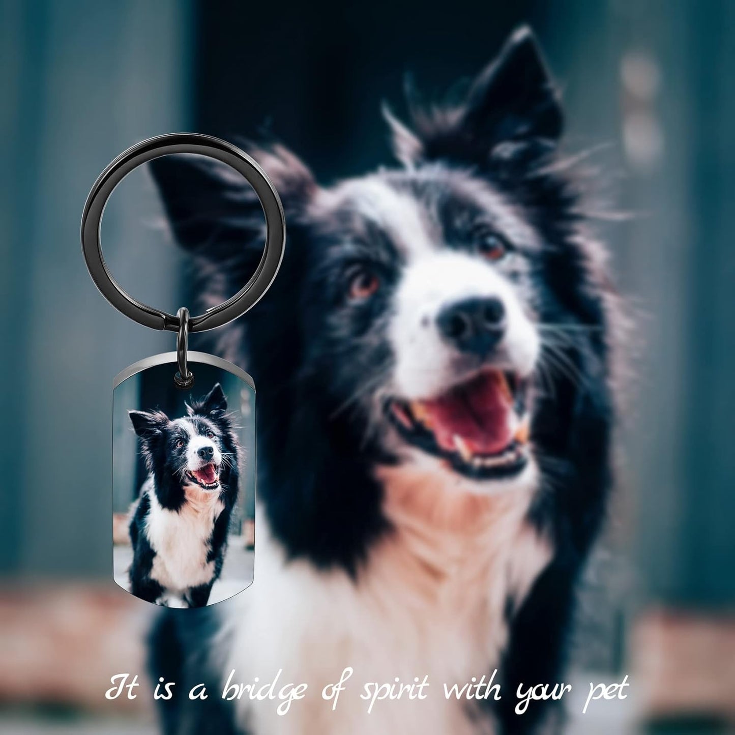 Personalized Cremation Urn Keychain for Pet Human Ashes Custom Photo/Name/Date Dog Cat Paw Print Pendant Stainless Steel Keyring Memorial Keepsake Keychain for Women Men (Style A2)