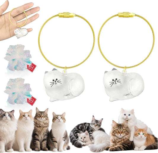 Cat Hair Keychain, 2Pcs Cat Hair Storage Bottle，Pet Fur Keepsake,Pet Hair Storage/Memorial Keychain,Cute Pet Memorial Gifts,[E Model]