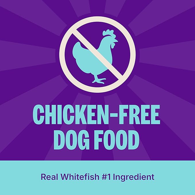 Wellness CORE Dry Dog Food, Wholesome Grains, High Protein, Natural, Ocean Whitefish & Herring Recipe, (22-Pound Bag)