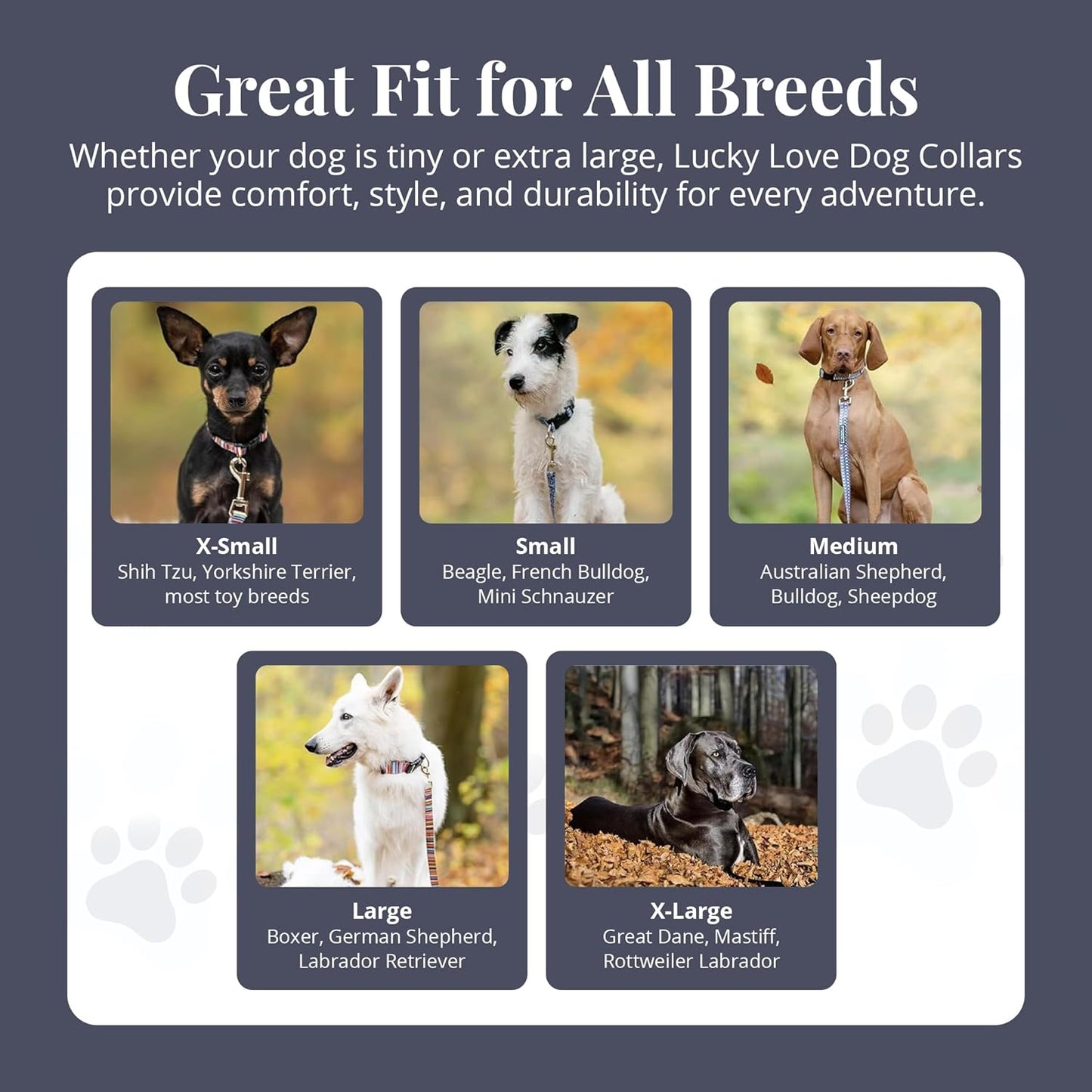 Lucky Love Dog - Easy Click Buckle Dog Collar with Leash Set Combo, Durable & Comfortable for Male & Female Dogs, Pet Collar for Small to Large Dogs, Secure Fit - Pongo Combo, Medium