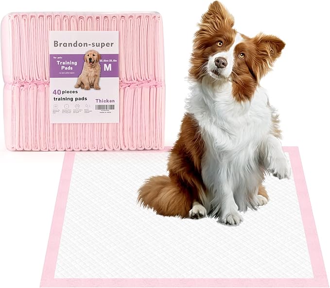 Super-Absorbent Leak-Proof Dog and Puppy Pet Training Pad, Housebreaking Puppy Pads Disposable (24" X 24" - Medium 40PCS)