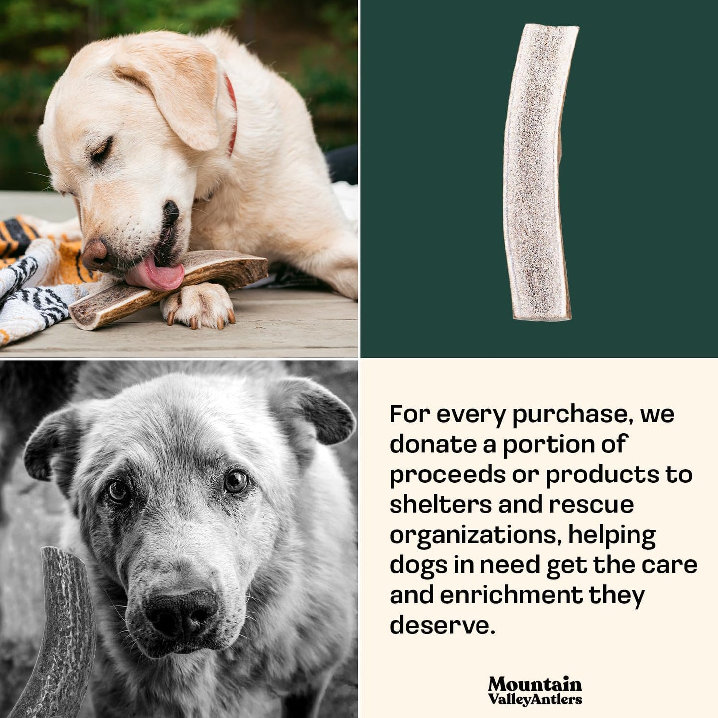 Mountain Valley Elk Antlers for Dogs - 100% Natural & Organic Chew for Aggressive Chewers, No Odor, No Mess, Long Lasting - Wild-Foraged Naturally Shed Antlers in USA - Grade A, Split Small (3 Pack)