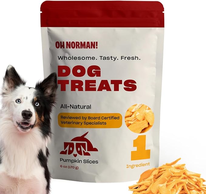 OH NORMAN! Single Ingredient Pumpkin Dog Treats by Kaley Cuoco, Healthy Dog Treats for All Life Stages and Breeds, Air Dried, Ethically Sourced in Canada, 6 Oz