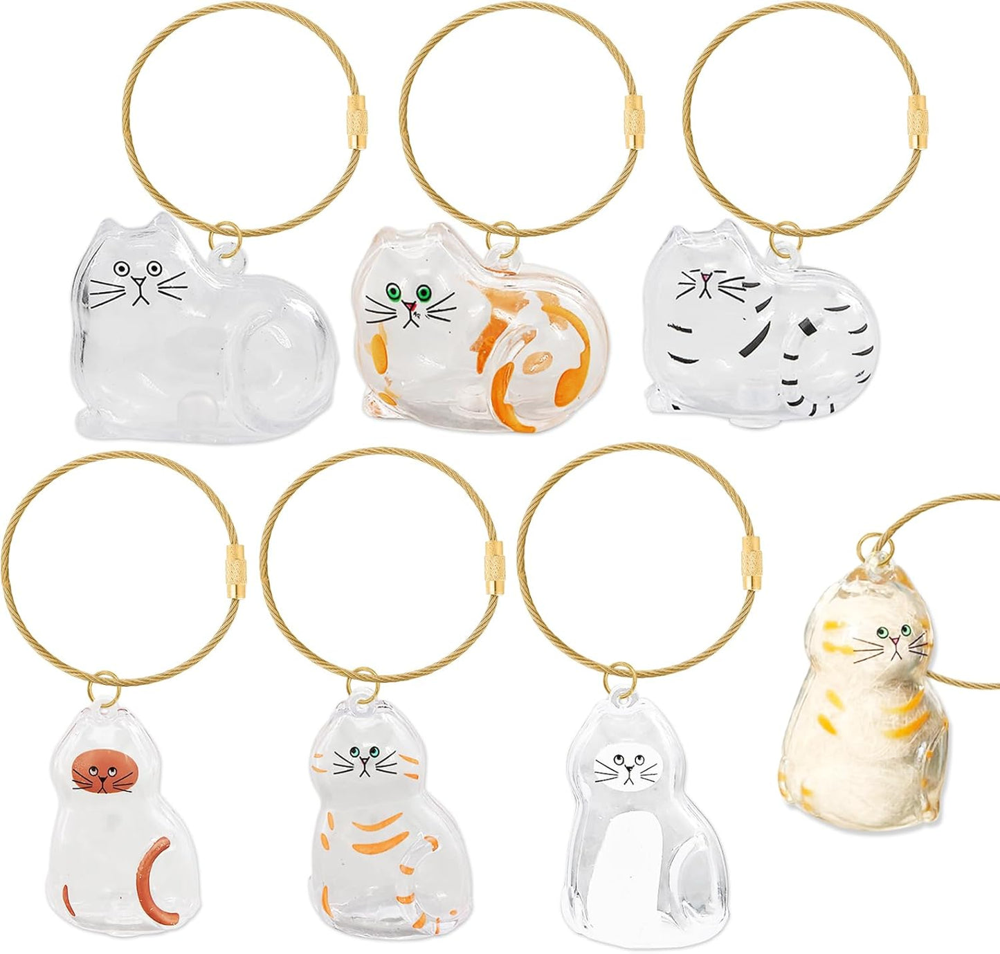 6 Pcs Cat Hair Storage Bottle Keychain, Cute Cat Fur Keepsake, Transparent Cats Hair Storage Box Pendants, Pet Memorial Gifts Accessories For Friends Wallet Backpack Handbag Keychain