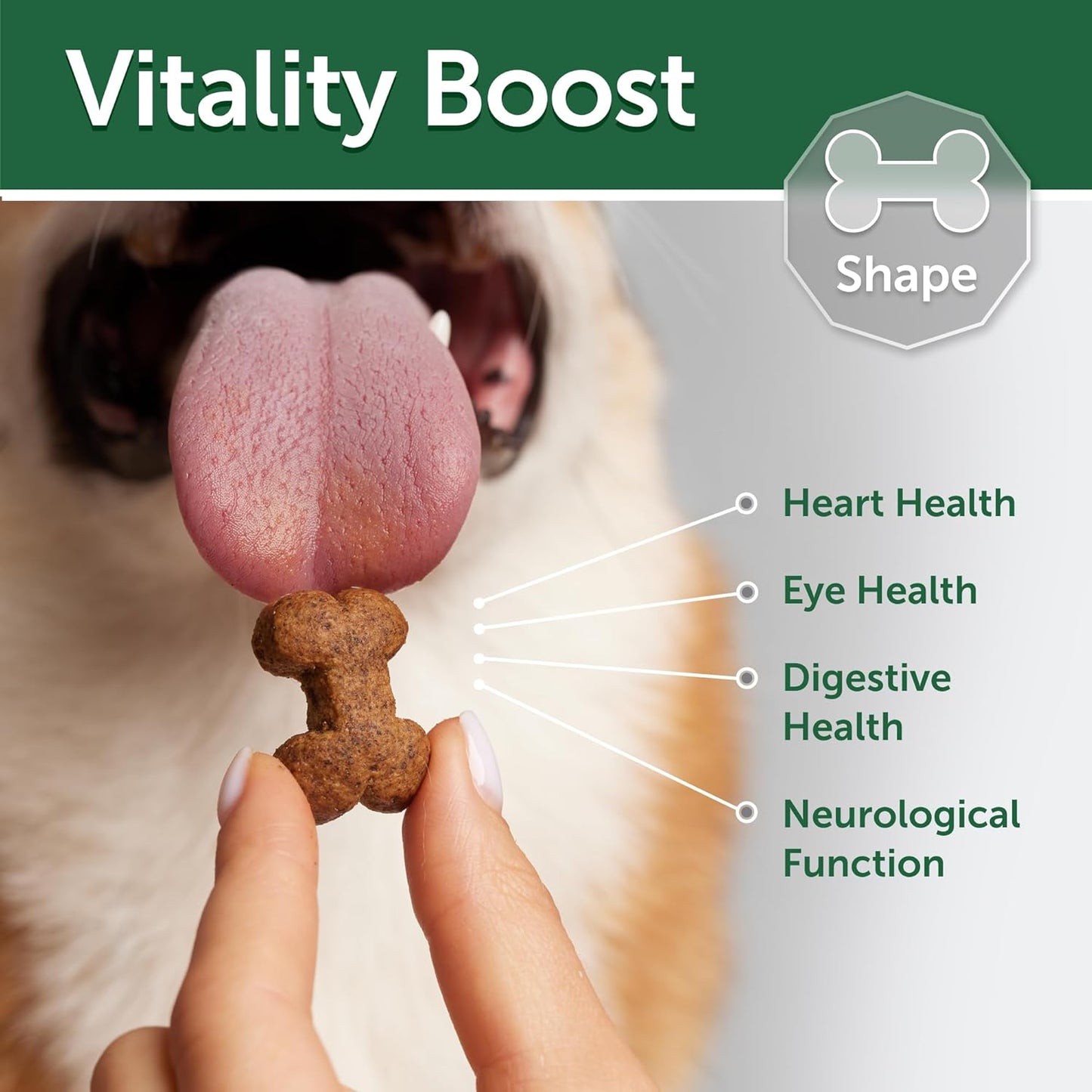 Nature's Protection Grain Free Low Calorie Dog Treats - Training Dog Treats for Adult Small, Medium & Large Breed Dogs with Red Fur (Superior Care - Lamb, 5.29 oz)