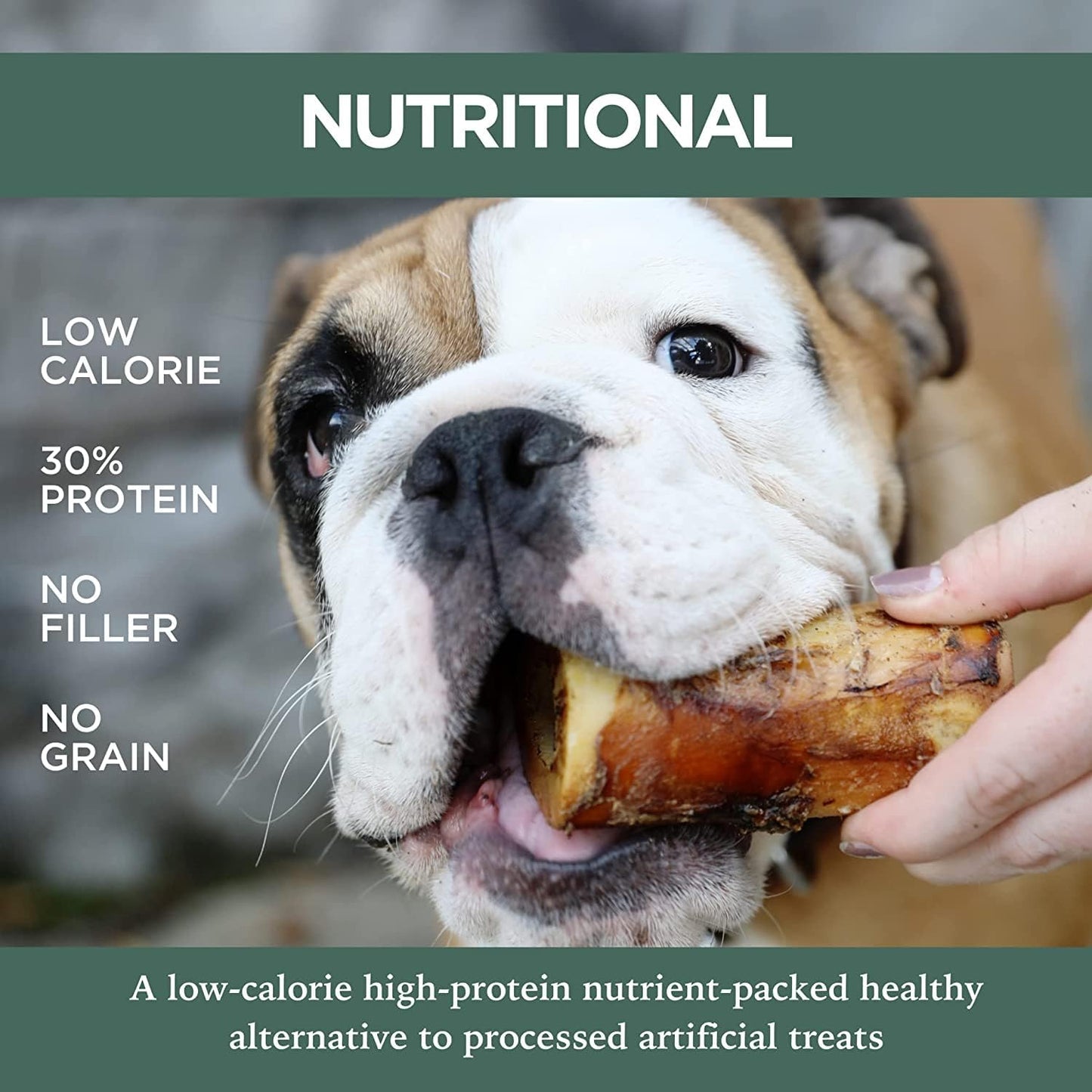 K9 Connoisseur Single Ingredient Dog Bones Made in USA for Small and Medium Breed Dogs Who Struggle with Boredom Natural Meaty Beef Knee Cap Bone Chew Treats Best for K9s Up to 50 Pounds - 24 Pack