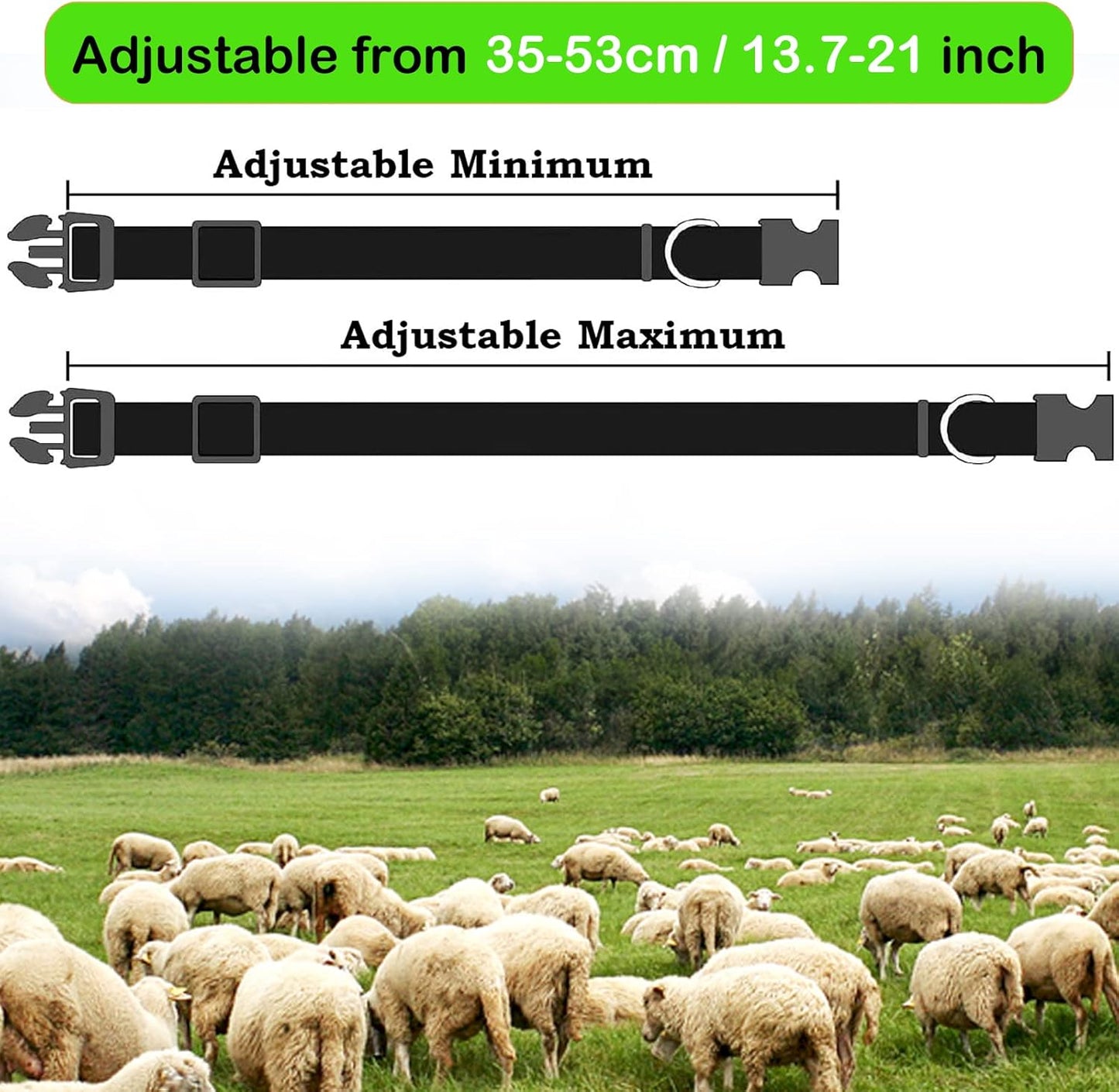 8 Pack Goat Collar with Bell, Sheep Collars with Bell, Grazing Copper Bells and Adjustable Nylon Collar Set for Small Farm Animal Sheep Cow Pet Goat Accessories