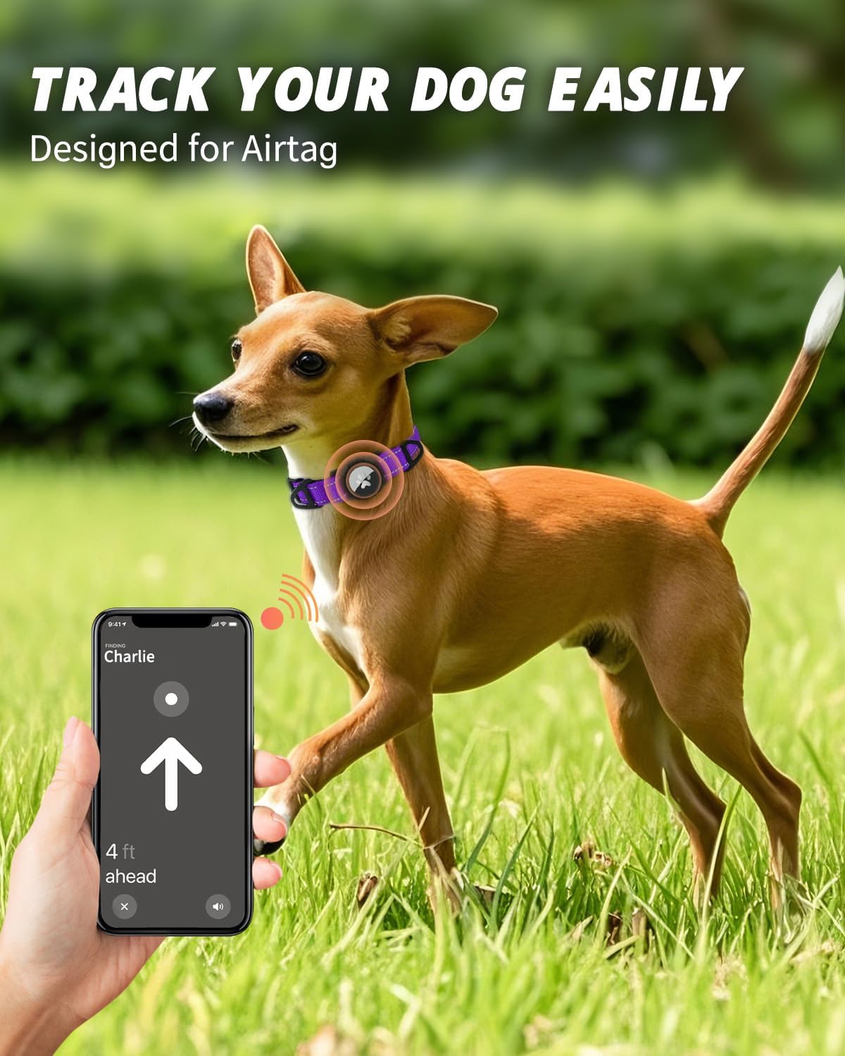 Joytale Airtag Dog Collar, Reflective Pet Collar with Waterproof AirTag Holder, Dual D-Rings, Soft Padded Adjustable for Small Dogs, Purple, S