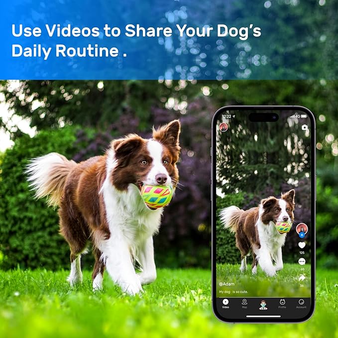 Dog GPS Tracker, Smart Waterproof Tracker with Real-Time Location, Escape Alerts, Activity Monitor, iOS & Android Compatible, for Dogs 40 lbs+ (Black)