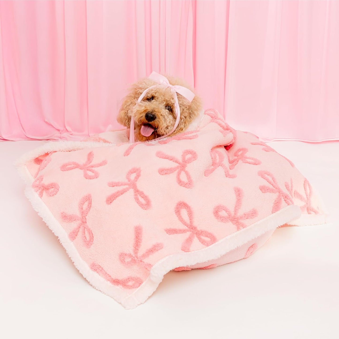 Lesure Waterproof Puppy Blanket for Small Dogs - Washable Double Sided Dog Blankets with Warm Jacquard Shag and Soft Sherpa Fleece, Pet Cat Blanket for Couch Protection, Bow Design，Pink Taffy
