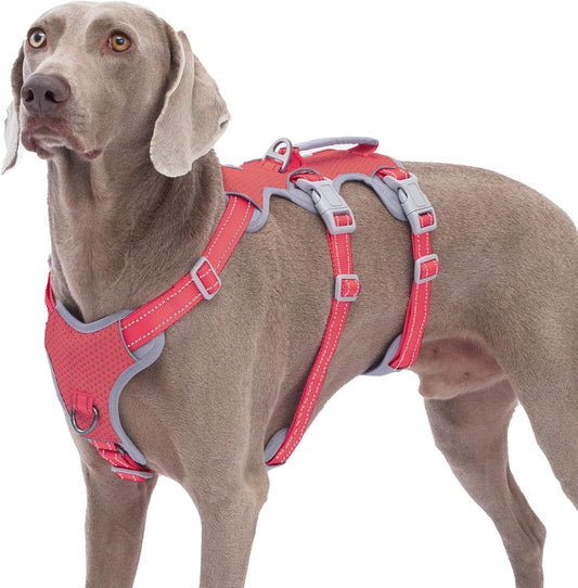 Huntboo Escape Proof Dog Harness, No Pull Reflective Harness with Lift Handle, Adjustable Pet Vest with Front and Back Leash Clips for Small Medium Large Dogs Walking Hiking Training (Red,L)