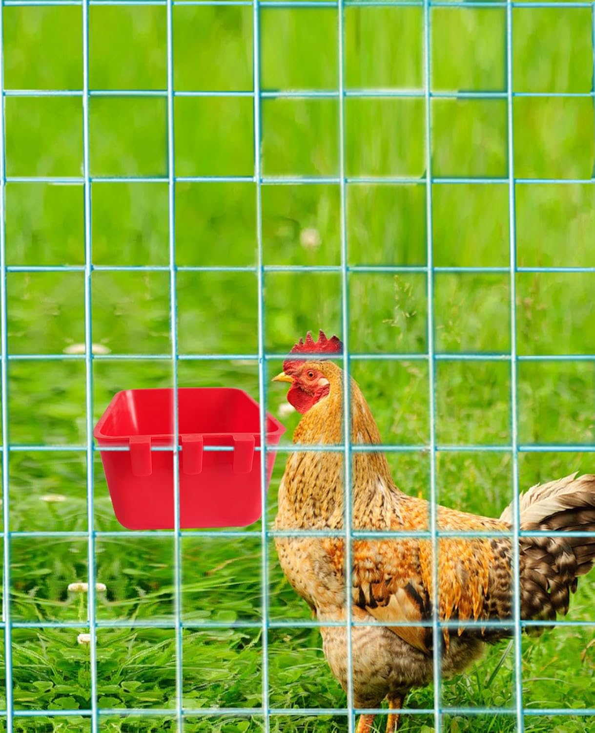 Pack of 10 Cage Cups Birds Feeders Seed Bowl Chicken Feeding Watering Dish Rabbit Water Food Hanging Wire Cages Box 8 oz Coop Cups for Pet Parrot Parakeet Game Fowl Poultry Pigeon