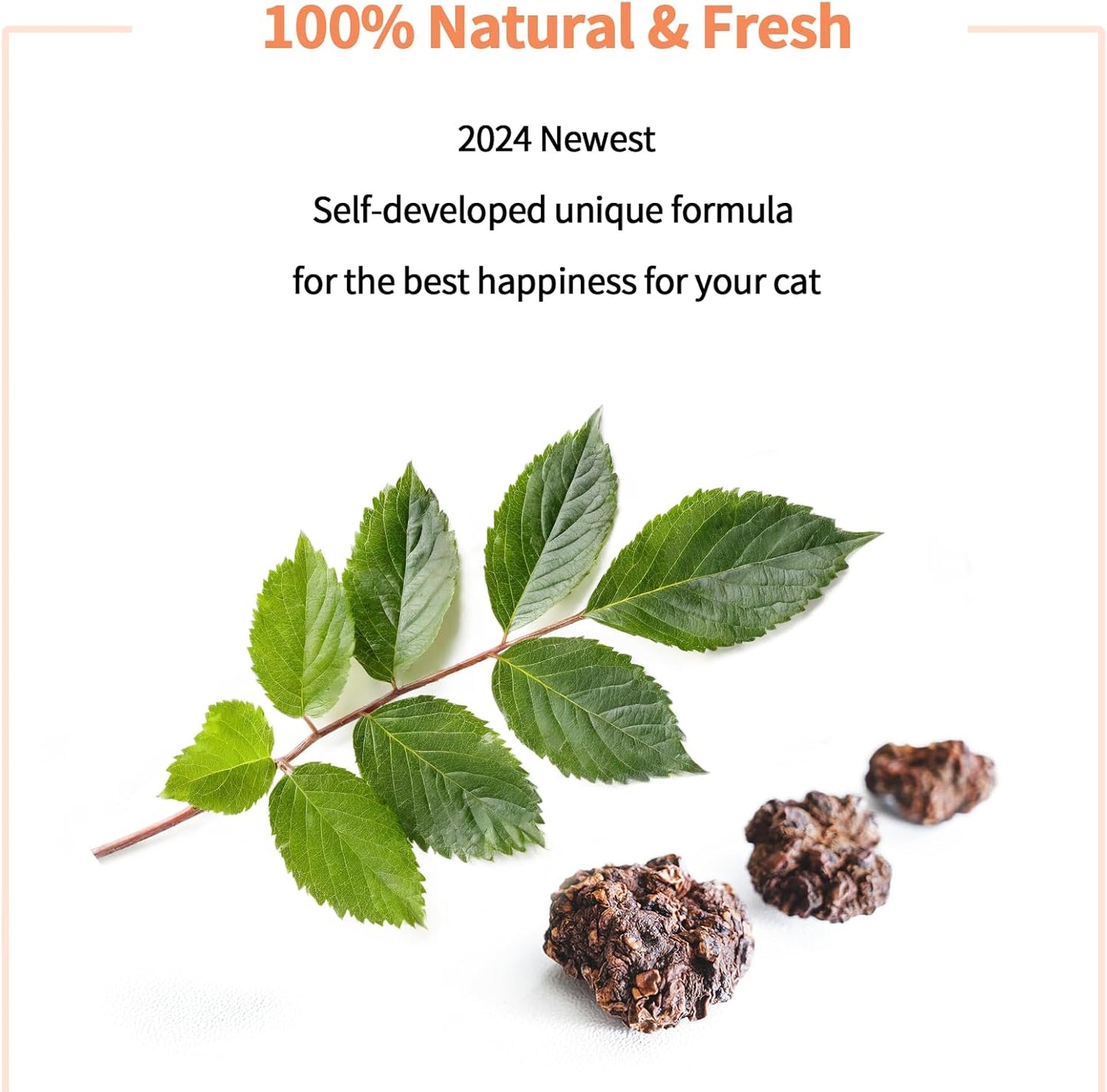 Cat Toys - Blend Silvervine Powder 25g, Catnip Alternative, 100% Natural Silver Vine Gall Fruit Powder & Silvervine Leaves, Suitable for All Cat Ages