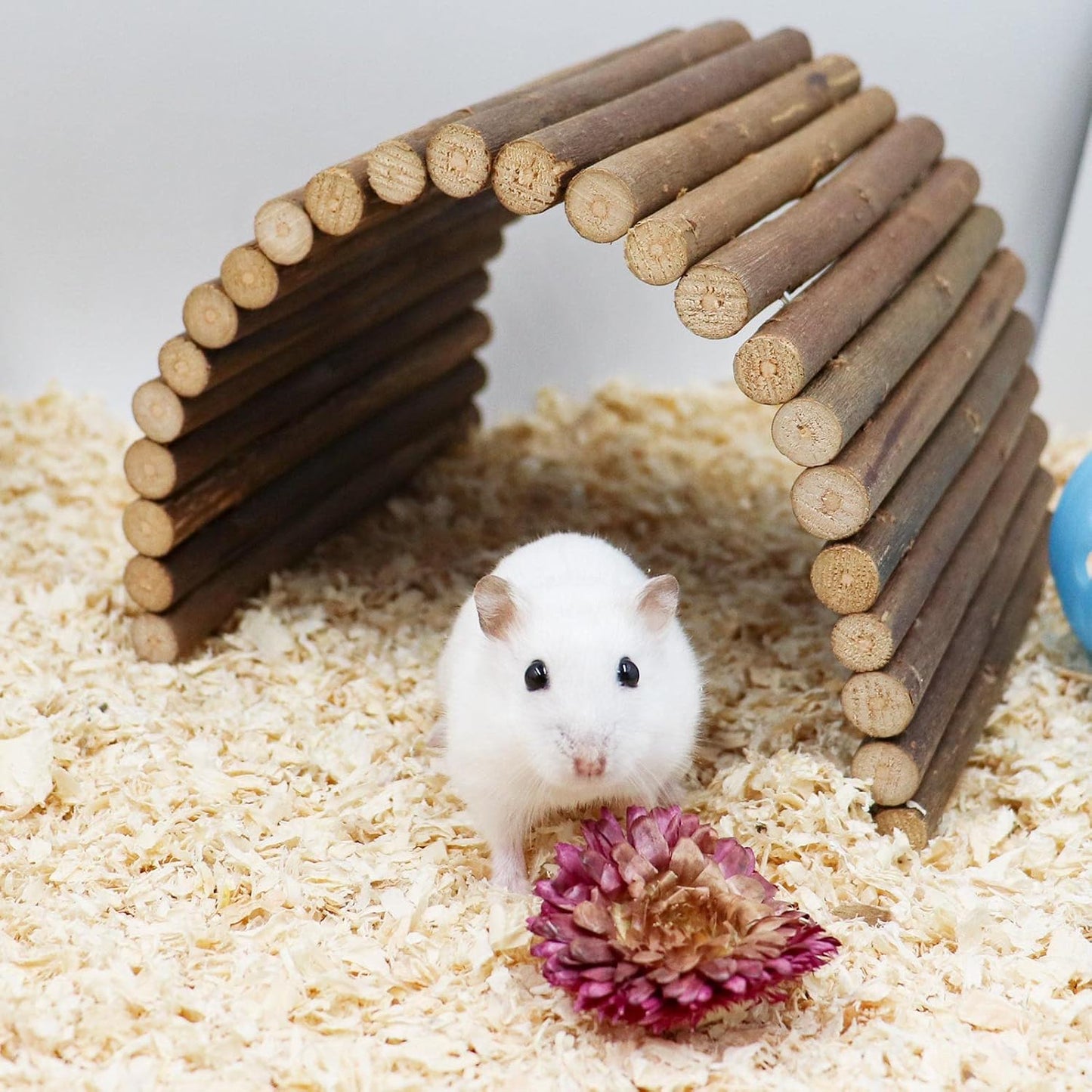 Hermit Crab Climbing Toys, Wooden Hermit Crab Hideout, Reptile Tank Habitat Decor, Bendable Ladder Bridge Tunnel Toys for Lizard Chameleon Hamster Rats Chinchilla Guinea Pig Rabbit Bearded Dragon