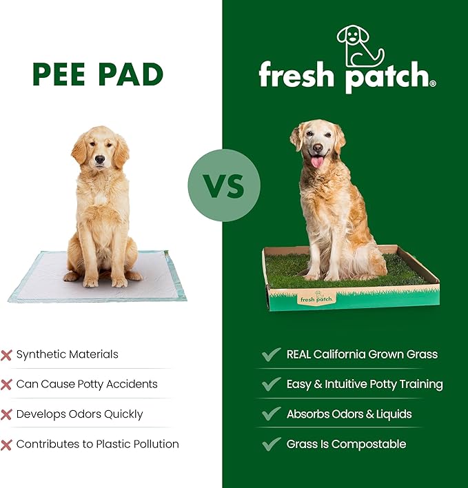 Fresh Patch Mini Real Grass Patch for Dogs, Cats, and Small Pets Under 8 Pounds – Disposable Pet Grass Pee Pads – Indoor and Outdoor Potty Training Mat (12 Inches x 16 Inches)