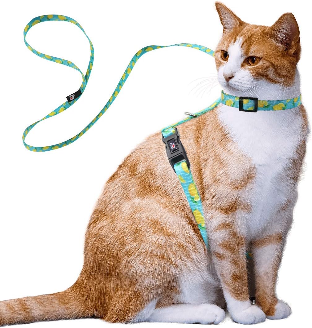 azuza Cat Harness and Leash Set for Safe Walking and Travel, Escape Proof Cat Harness, Lightweight Soft and Comfortable, Adjustable Kitten Harness for Small Medium Large Cats, Lemon