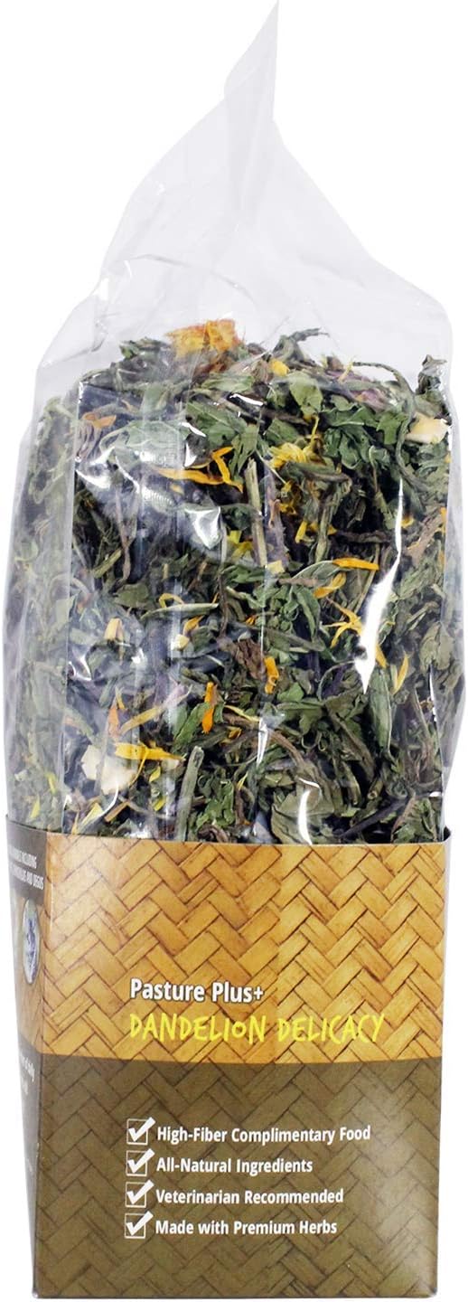 Pasture Plus+ Dandelion Delicacy - Healthy Natural High-Fiber Dried Flower Treat - Squirrels, Guinea Pigs, Rabbits, Chinchillas, Prairie Dogs, Degus, Hamsters, Gerbils & Other Small Pets