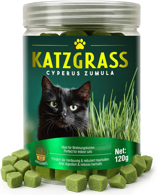 Natural Cat Grass Treats for Indoor Cats | Salmon & Catnip Dental Snacks | Hairball Control & Teeth Cleaning | Freeze-Dried Training Rewards