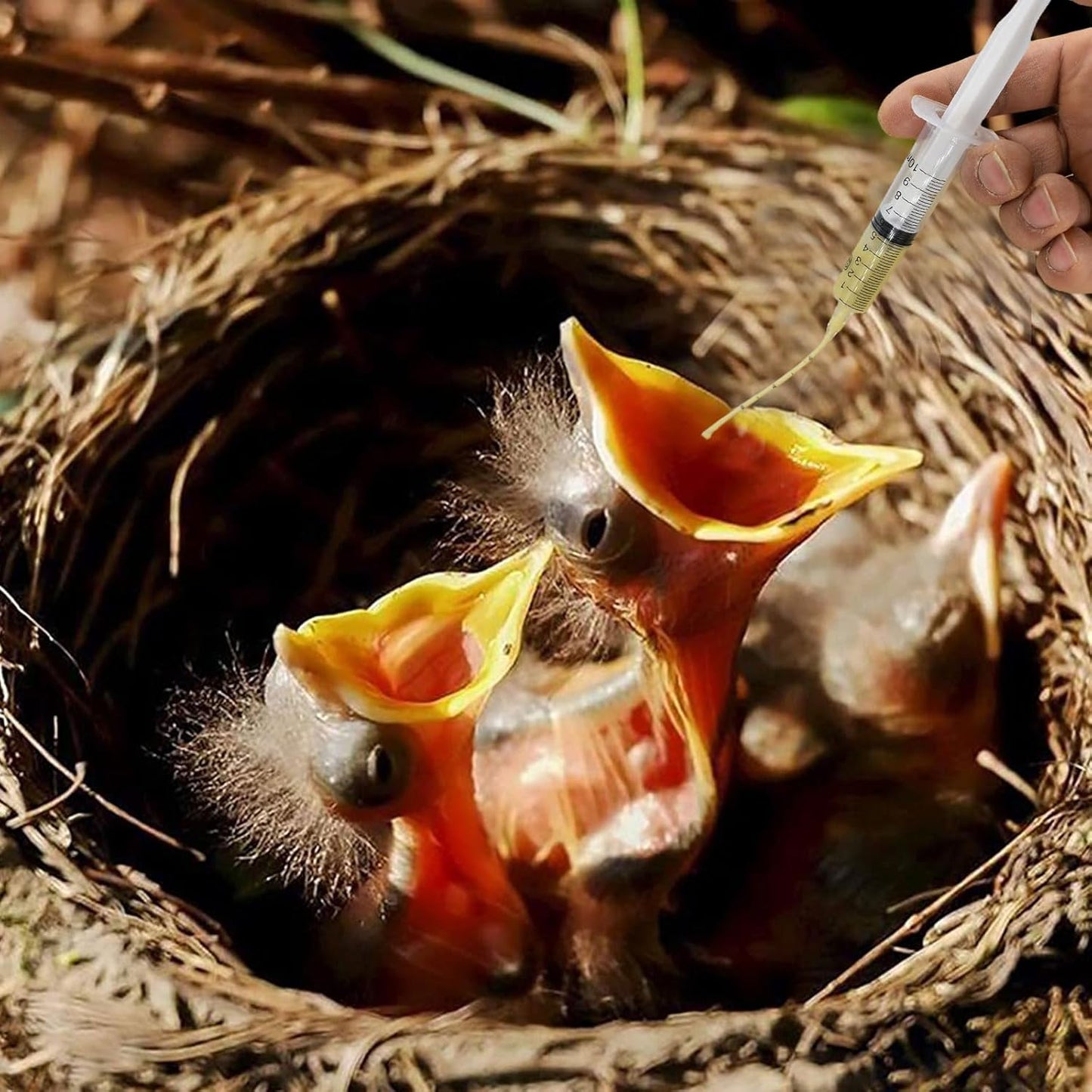 Baby Bird Feeding Syringe Set, Pet Parrot Milk Feeding Syringe with Tubes, Parrot Feeder Tubes Measuring Tools for Feeder Pets Scientific Industrial Labs… (10ml+10ml+20ml+60ml)