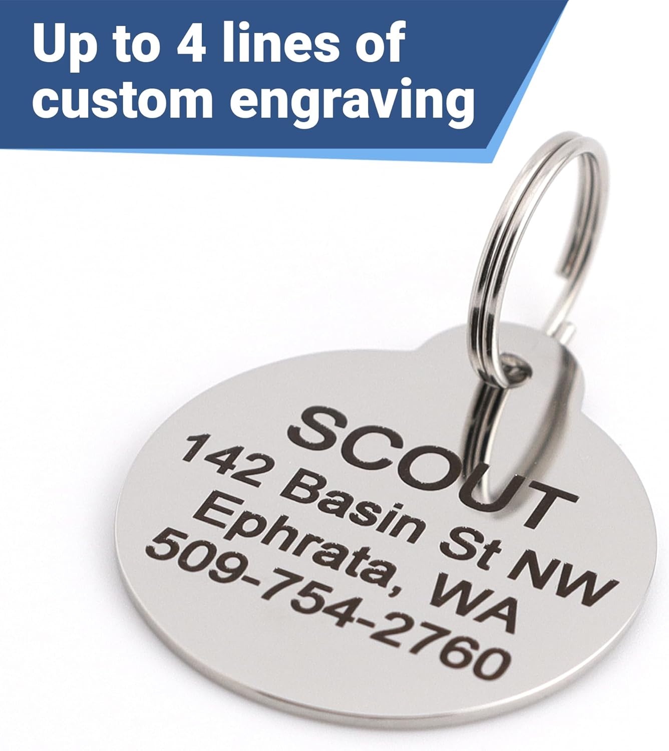 GoTags Paw Print Round Stainless Steel Pet Tag for Dogs and Cats, Personalized with 4 Lines of Custom Engraved ID Name and Number, in Stainless Steel and 15 Colors Small and Large, Glitter Light Pink