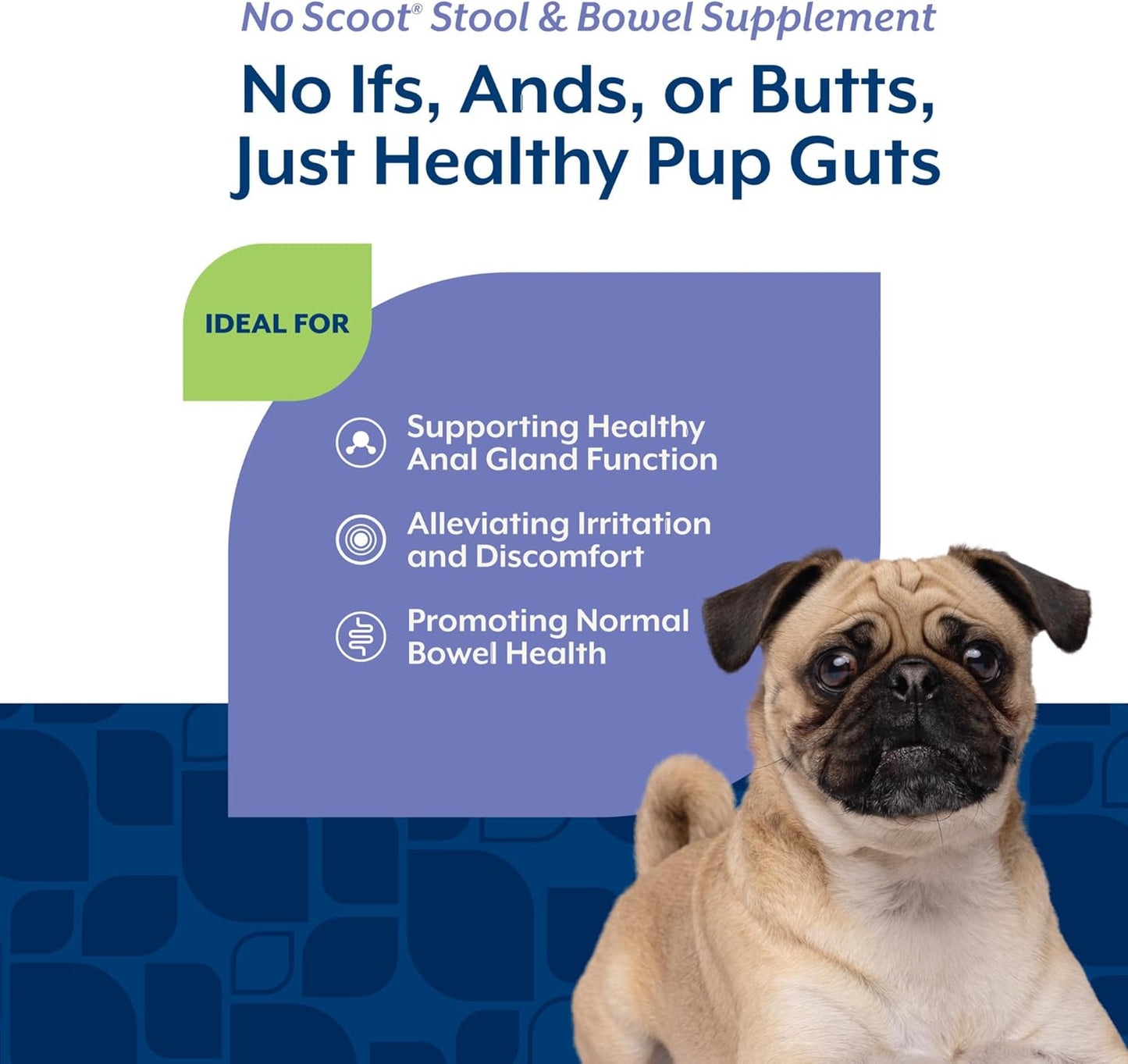 NaturVet - No Scoot for Dogs - 60 Soft Chews - Plus Pumpkin - Supports Healthy Anal Gland & Bowel Function - Enhanced with Beet Pulp & Psyllium Husk