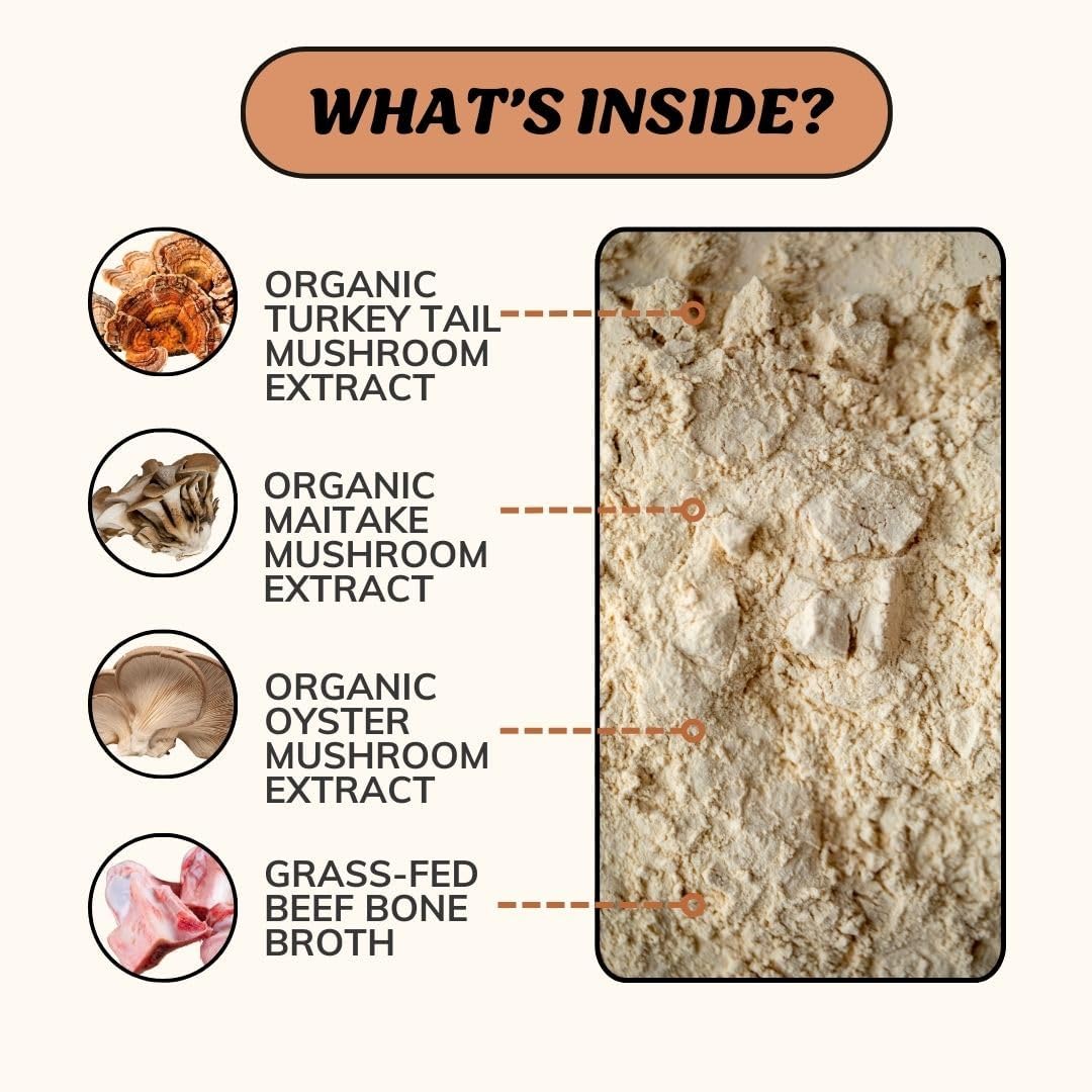 Fido's Longevity Bone Broth for Dogs - Turkey Tail + Maitake Mushroom - Grass-Fed Beef Bone Broth Powder - Dog Immune Support - Mushroom Supplement for Dogs - Dog Food Topper for Dry Food - 60 Scoops