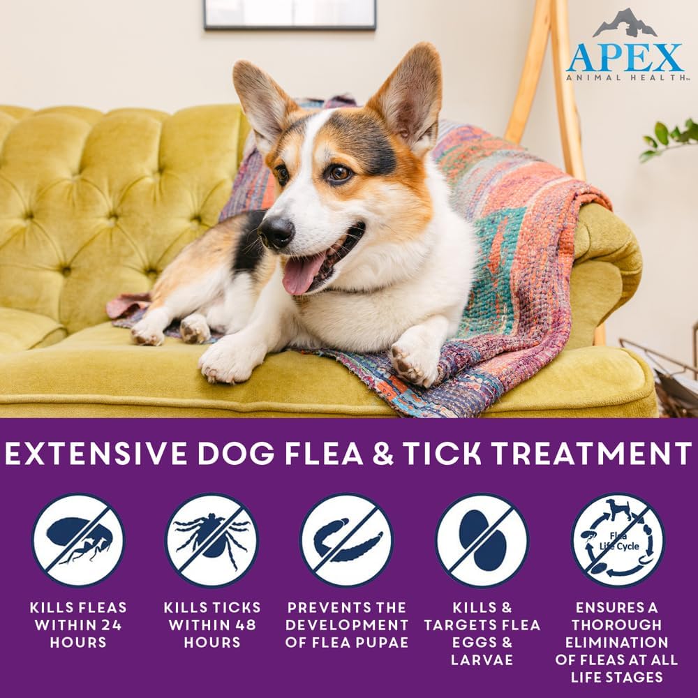 Apex Plus Flea and Tick Prevention for Dogs | Large (45-88 lbs) | 6-Month Supply | Dog Flea and Tick Treatment | 24-Hour Activation, Waterproof, 30-Day Protection