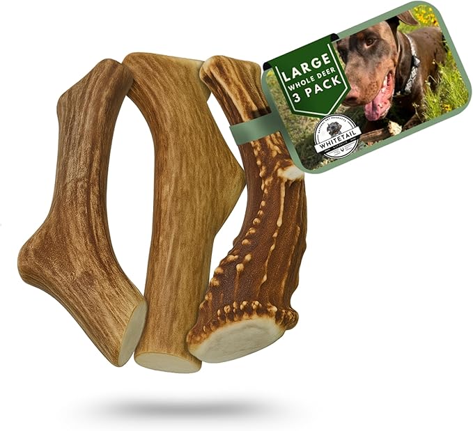 WhiteTail Naturals (3 Pack Deer Antlers for Large Dogs, Antler Dog Chews - Crafted in USA Dog Antler - Long Lasting Bone for Aggressive Chewers