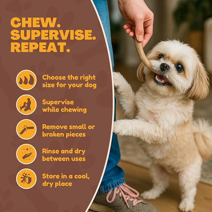 WhiteTail Naturals - Deer Antlers for Extra Small Dogs (12 Pack) Natural Dog Antler Chews for Puppies & Small Aggressive Chewers - Long Lasting Chew Bones