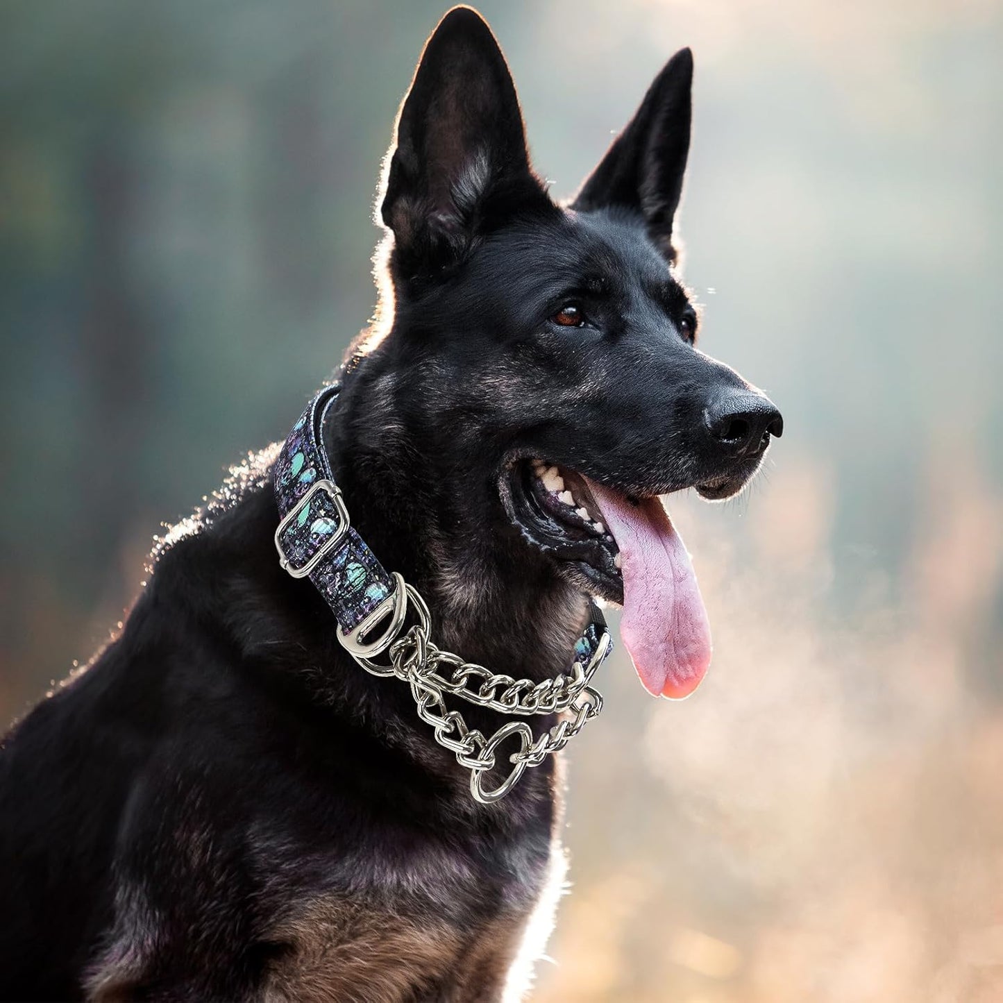 Martingale Dog Collar with Chain,Skull Reflective Nylon Soft Padded Adjustable Choke Collar for Large Breed Dogs, Medium, XL, XXL - Training & Walking Collar(Skull L)