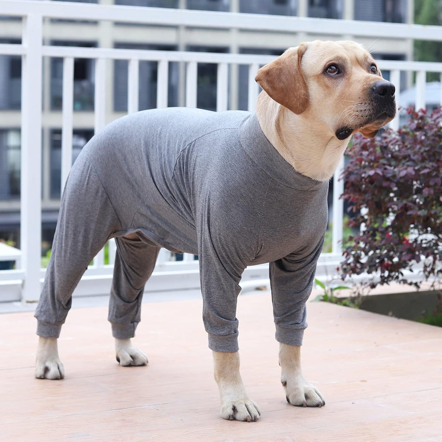 Dog Recovery Suit Abdominal Wound After Surgery Wear Prevent Licking Wounds E-Collar & Cone Alternatives Postoperative Shirt Dog Pajamas Long Sleeve Prevent Shedding (Large, Grey)