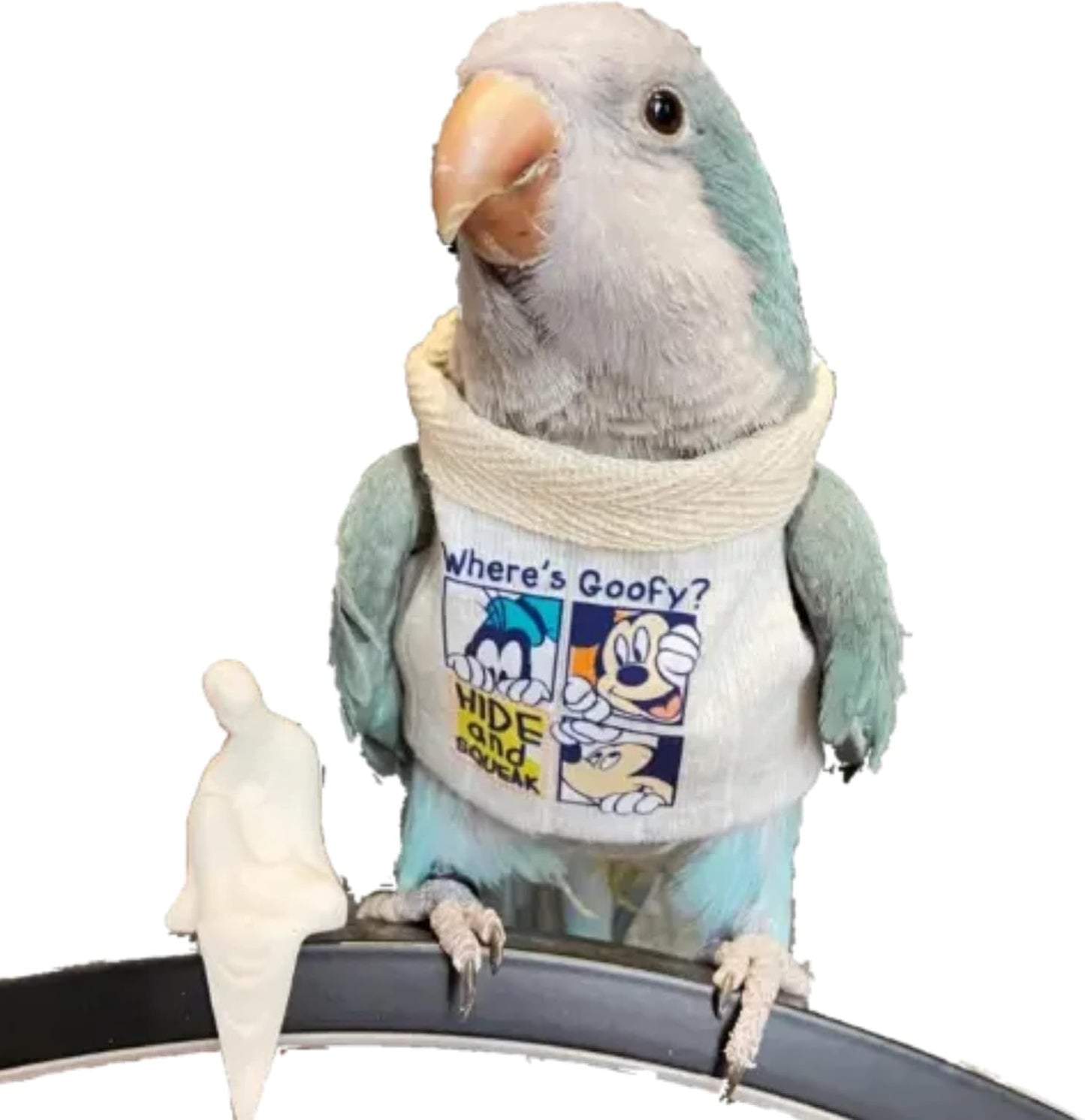 Sun Conure Bird Diaper Flight Suit Frog Shape Hoodie Cosplay Photo Prop for Parrots, Parakeet, Cockatiel - Bird Hoodie Small Animals Apparel (White Without Hat, Small)