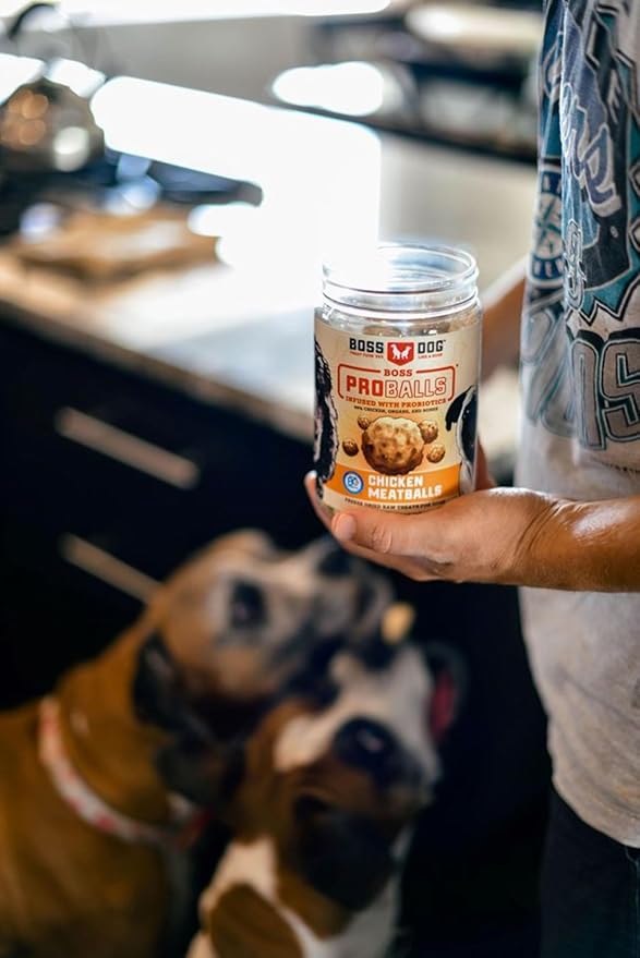 Boss Dog Boss Proballs Meatball Treats for Dogs & Cat, Chicken Recipe, 6 oz Jar