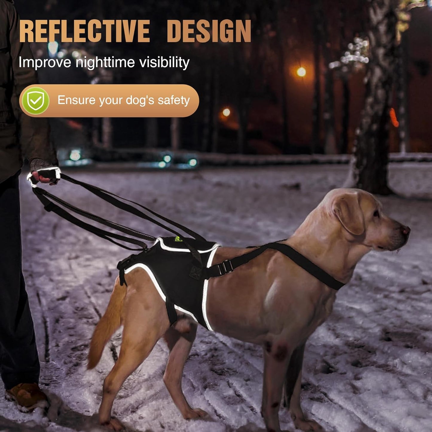 Dog Lift Harness for Extra Large Dogs, Dog Harness with Handle for Lifting, Dog Back Leg Support Harness for Weak Hind Legs to Prevent Dogs from Falling, Breathable and Comfortable, Easy to Wear- XL