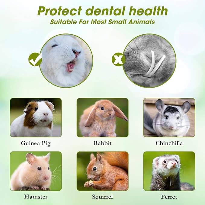 Abizoo Rabbit Chew Toys for Bunny Natural Papaya Wood Chew Treats with Organic Alfalfa Hay, Dried Carrot, Apple and Sweet Potato for Rabbits Guinea Pigs Hamsters Chinchillas Gerbils(3.5oz/100g)