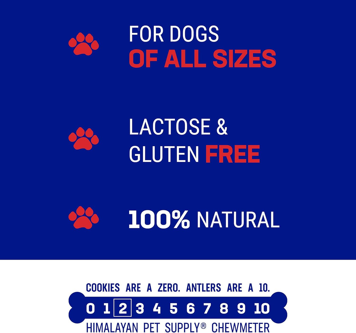 Himalayan Dog Chew Happy Teeth Yak Cheese, Soft Dog Chews, 100% Natural Soft Density Dental Treats, Gluten Free, Safe Treats for Oral Health, Lactose & Grain Free, Protein Rich, Bacon, 2 Count