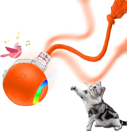 Interactive Cat Toys for Indoor Cats-Fast Rolling on Carpet,Automatic Cat/Kitten Toys for Bored Indoor Cats,Motion Activated