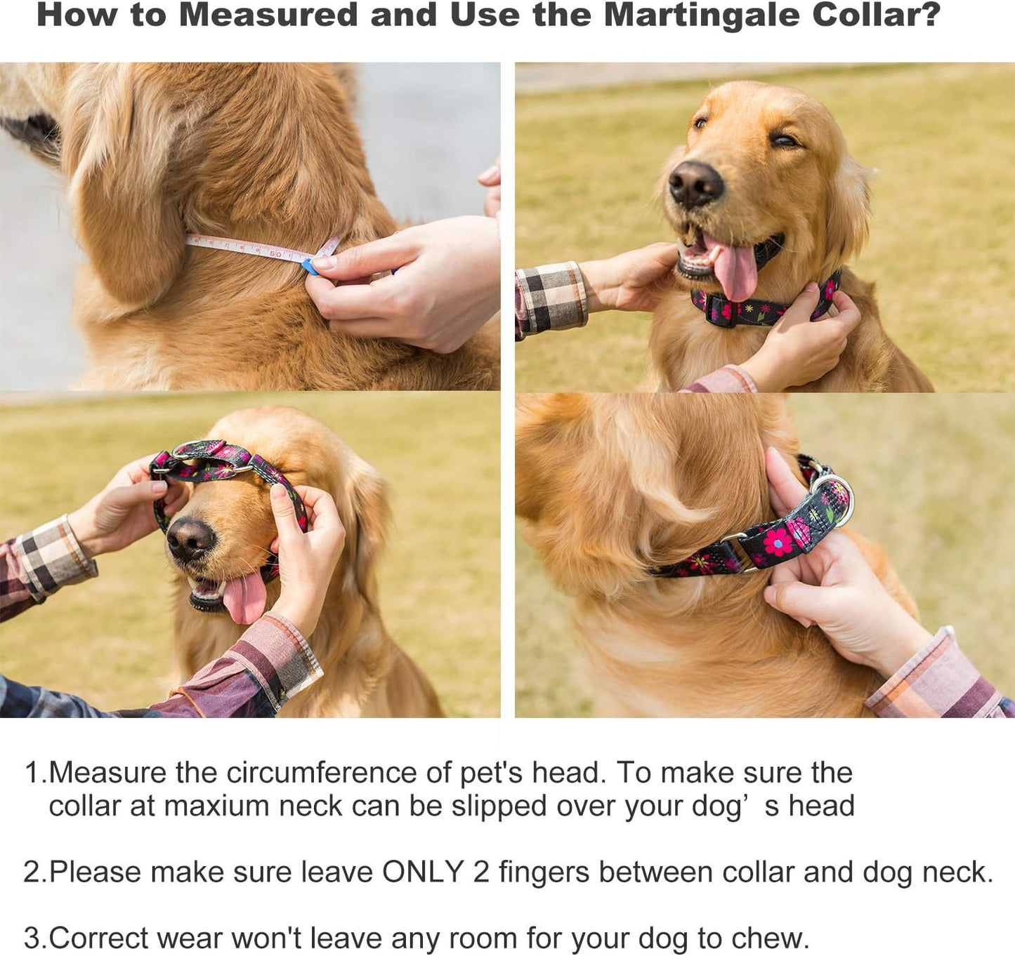 Martingale Collar Dog Collar No Pull Pet Collar Heavy Duty Dog Martingale Collars Silky Soft with Unique Pattern for Small Dog (Small Medium, Black and Sun Flower)