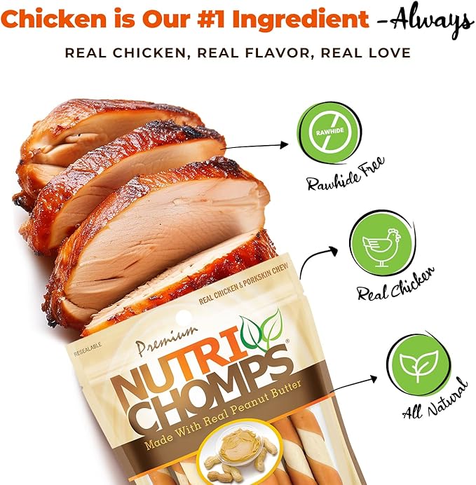 NutriChomps Dog Chews 5-inch Twists, Easy to Digest, Rawhide-Free Dog Treats, 10 Count, Real Peanut Butter flavor (Packaging May Vary)