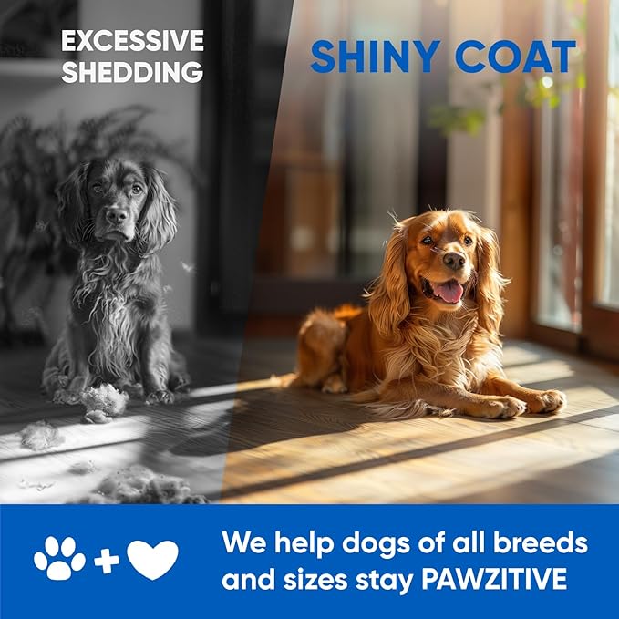 Omega 3 Fish Oil for Dogs Chews - Dog Skin & Coat Supplement for Itch Relief, Hot Spot Treatment - USA Product - Salmon Oil for Dogs Itching Skin Relief, Shedding, Hip & Joint Health - 120 Soft Treats