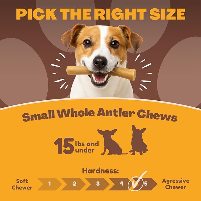 WhiteTail Naturals - Deer Antlers for Extra Small Dogs (12 Pack) Natural Dog Antler Chews for Puppies & Small Aggressive Chewers - Long Lasting Chew Bones